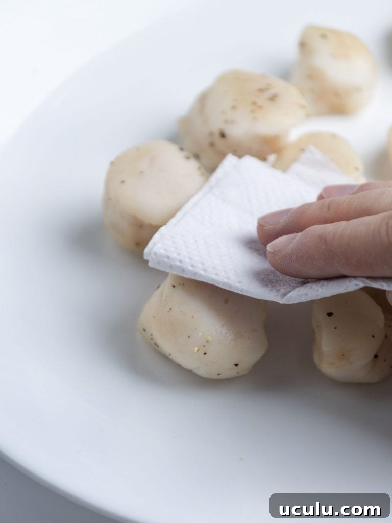 patting raw scallops dry with a paper towel