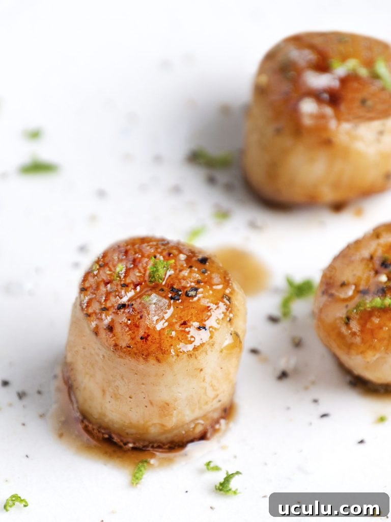 sous vide scallops on a white plate with green and red garnishes
