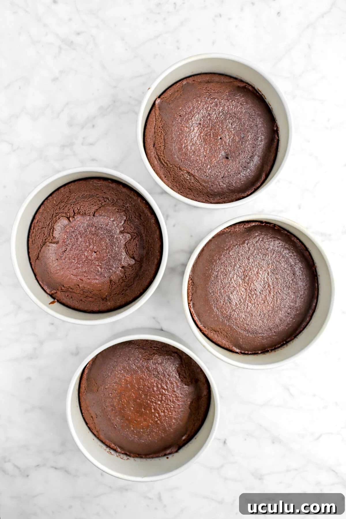 four baked layers of chocolate cake in round pans