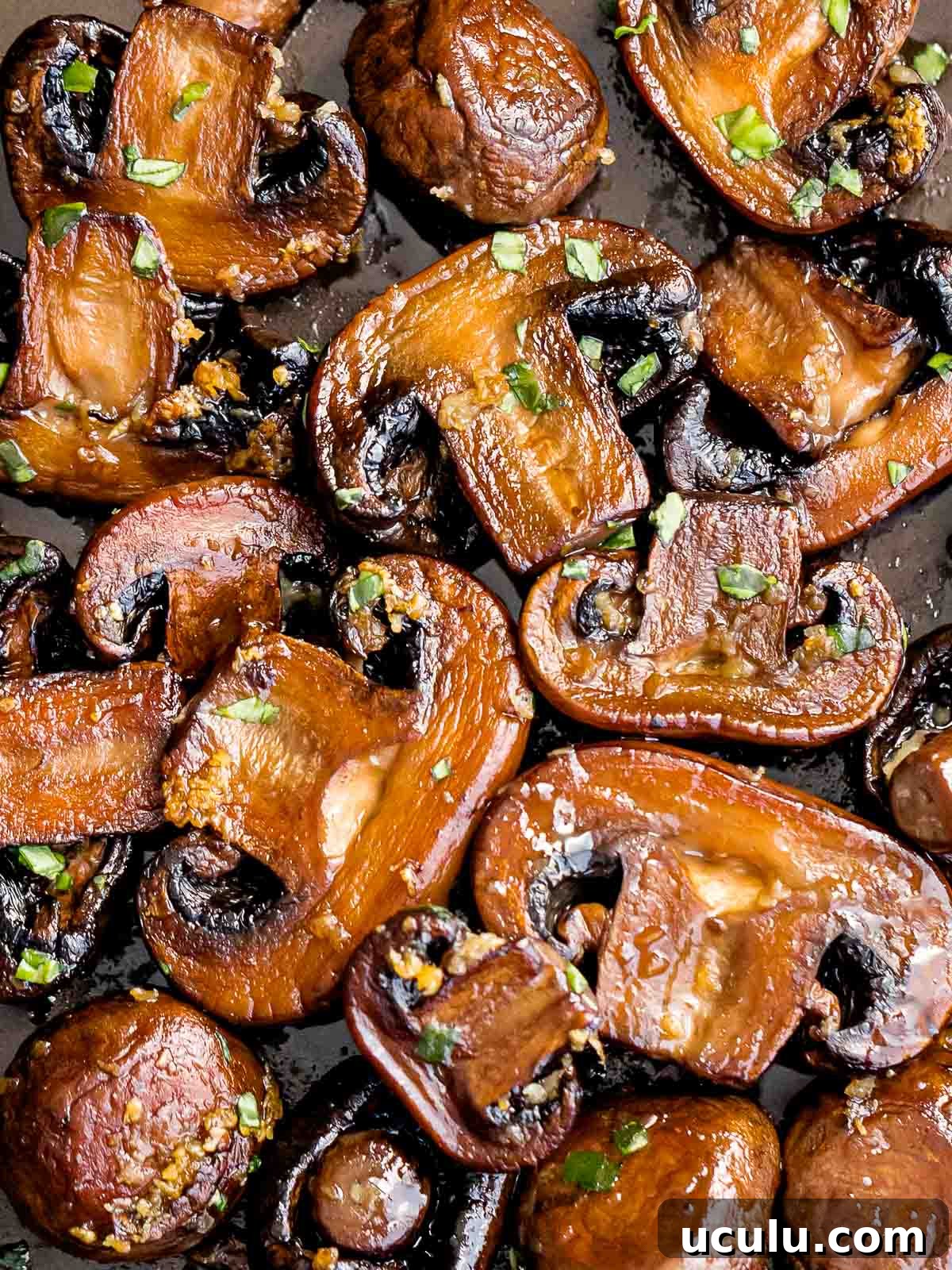 sauteed mushrooms laying flat on a pan and garnished with chopped parsley
