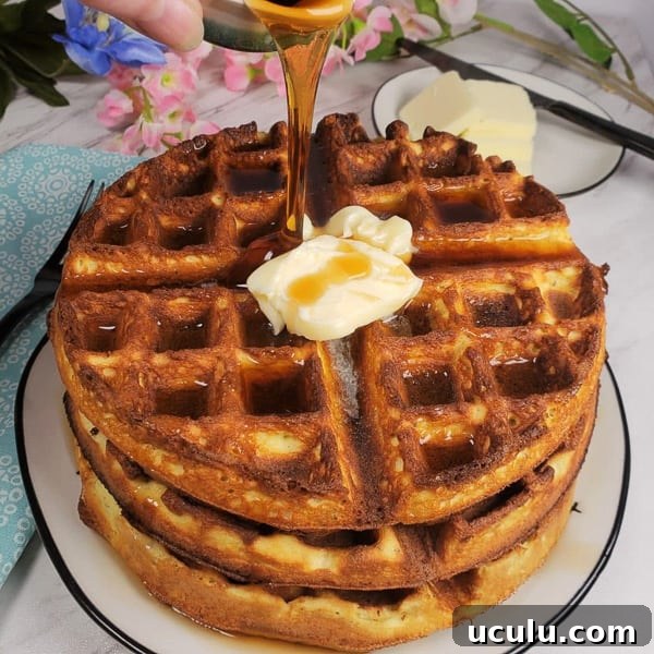 Low Carb Belgian Waffles