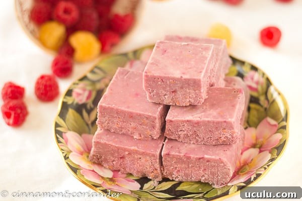 Raspberry Coconut Fudge