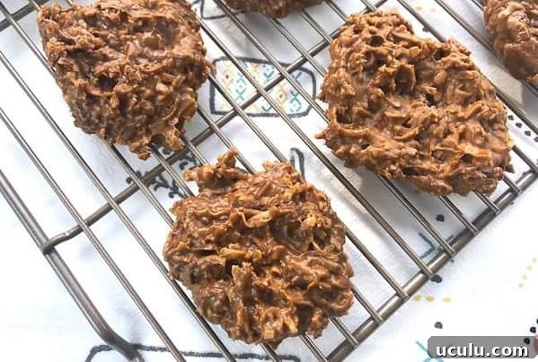 Easy Keto No-Bake Cookies