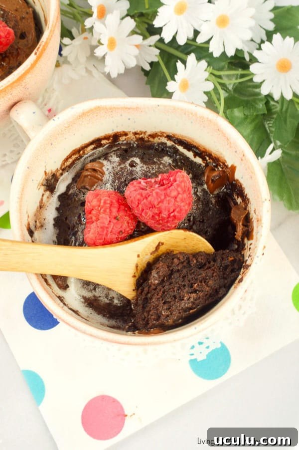 Fudgy Keto Mug Cake
