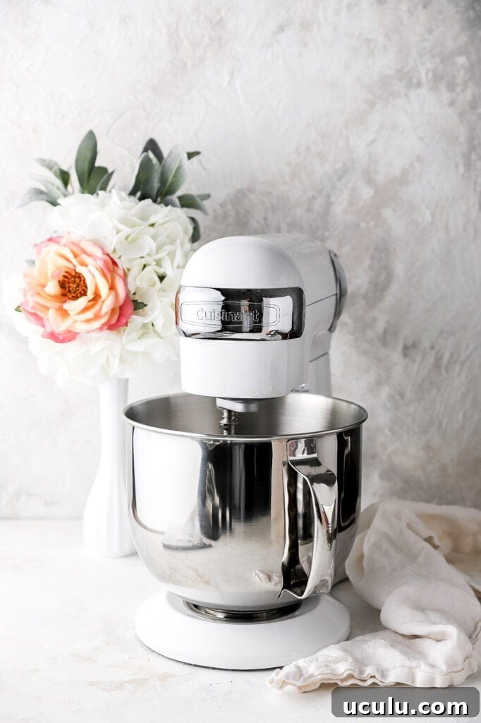 stand mixer