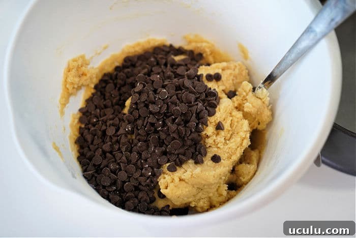 chocolate chip cookie dough