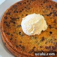 A delicious chocolate chip cookie cake, reminiscent of a freshly baked t pizookie, perfectly paired with a scoop of vanilla ice cream on a pristine white plate. Try your hand at creating this treat effortlessly in an air fryer for that perfect golden edge.