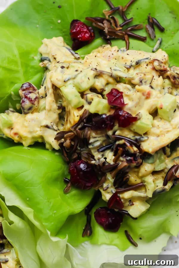 Curried chicken salad in a lettuce wrap with wild rice and dried cranberries.