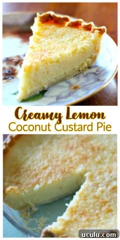 Creamy Lemon Coconut Custard Pie