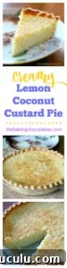 Creamy Lemon Coconut Custard Pie