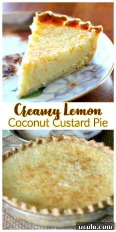 Creamy Lemon Coconut Custard Pie