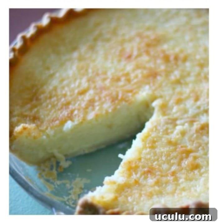 Creamy Lemon Coconut Custard Pie RECIPE