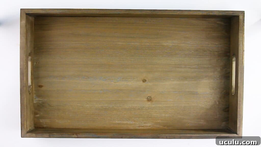 Tray back inspection