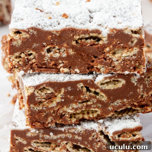 Close-up of puppy chow bar showing crispy Chex cereal coated in chocolate and peanut butter