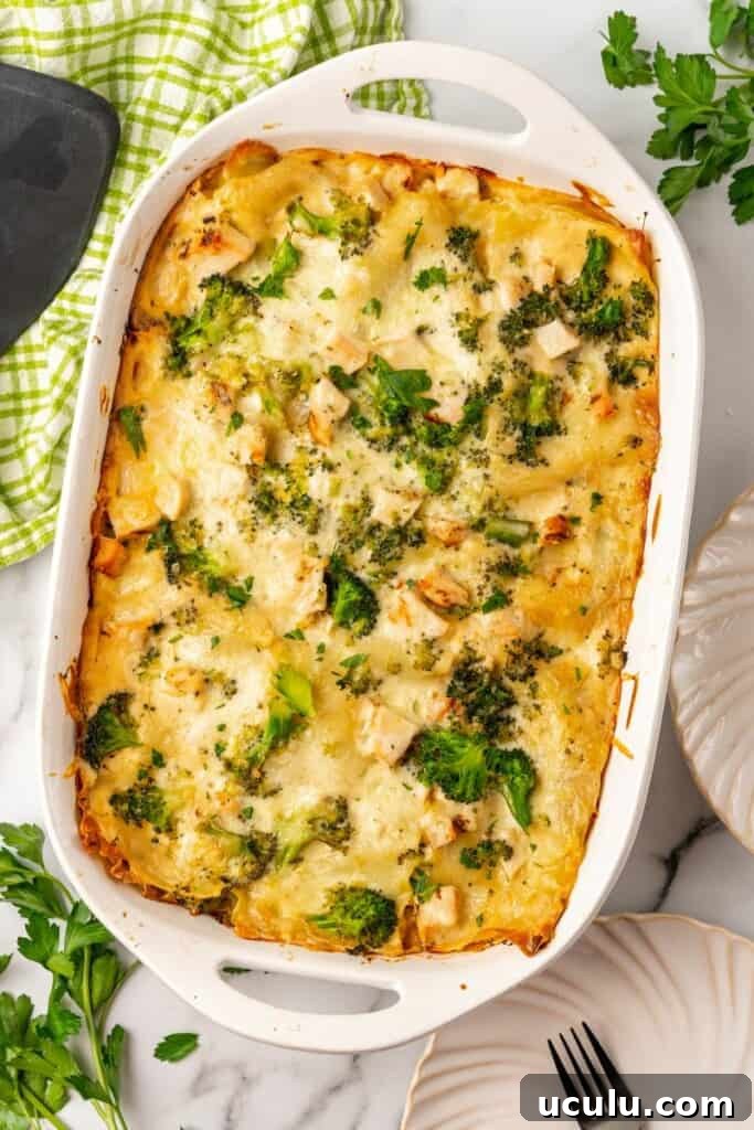 chicken and broccoli lasagna