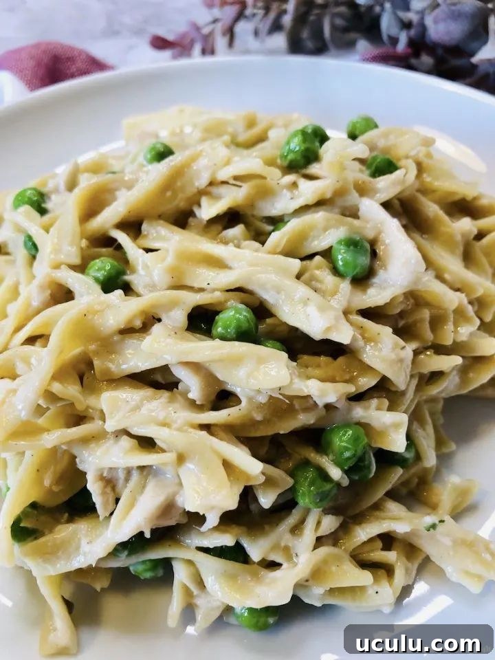 tuna with noodles