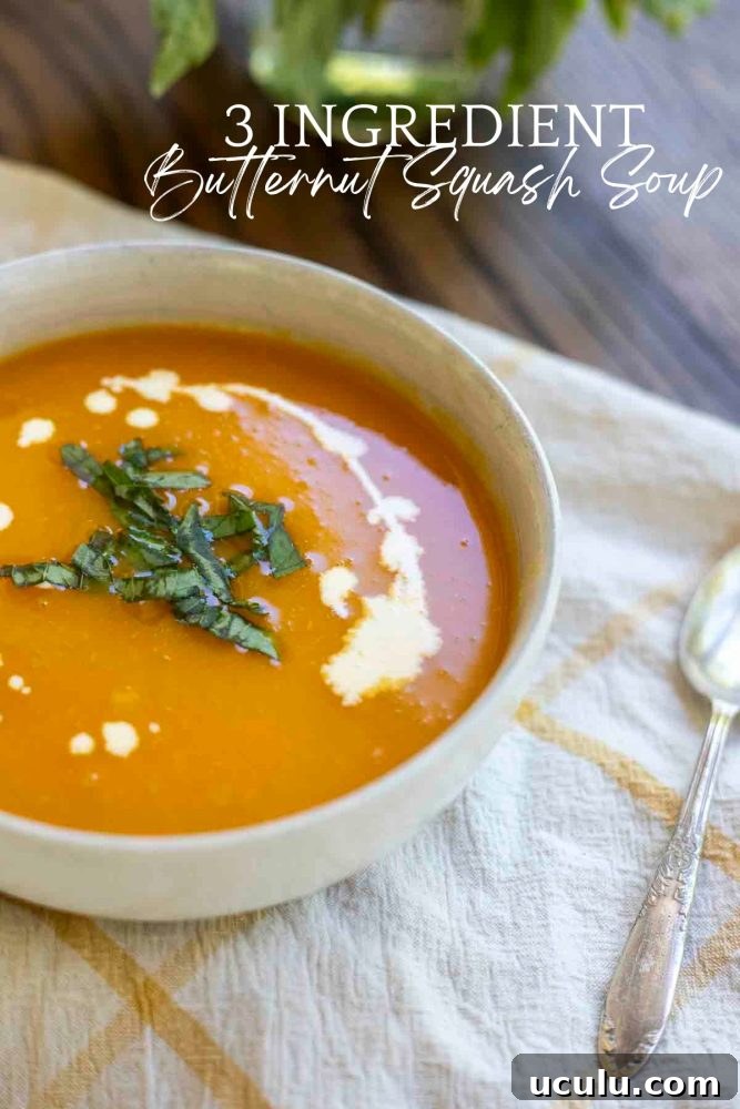3 Ingredient butternut squash soup