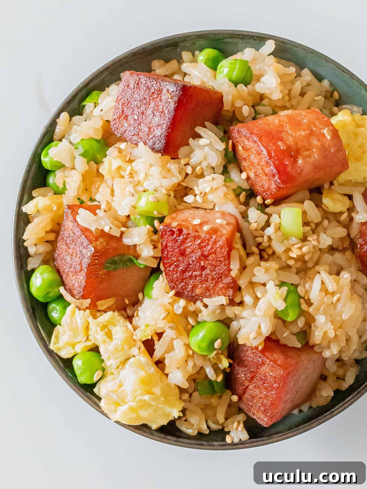 spam fried rice