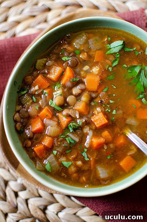 lentil soup