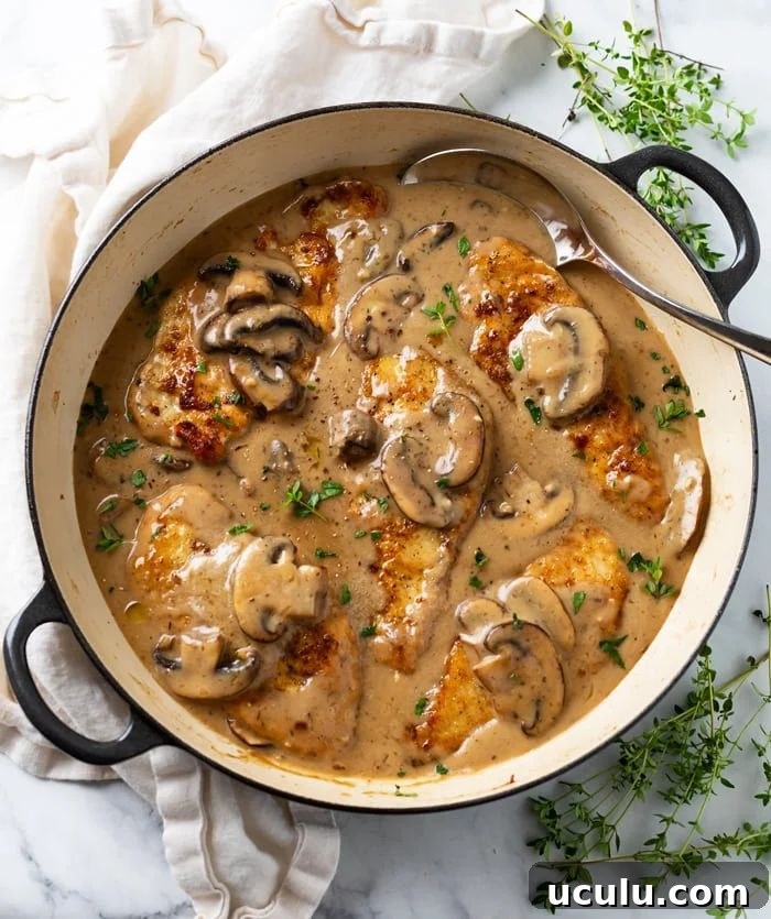 mushroom chicken