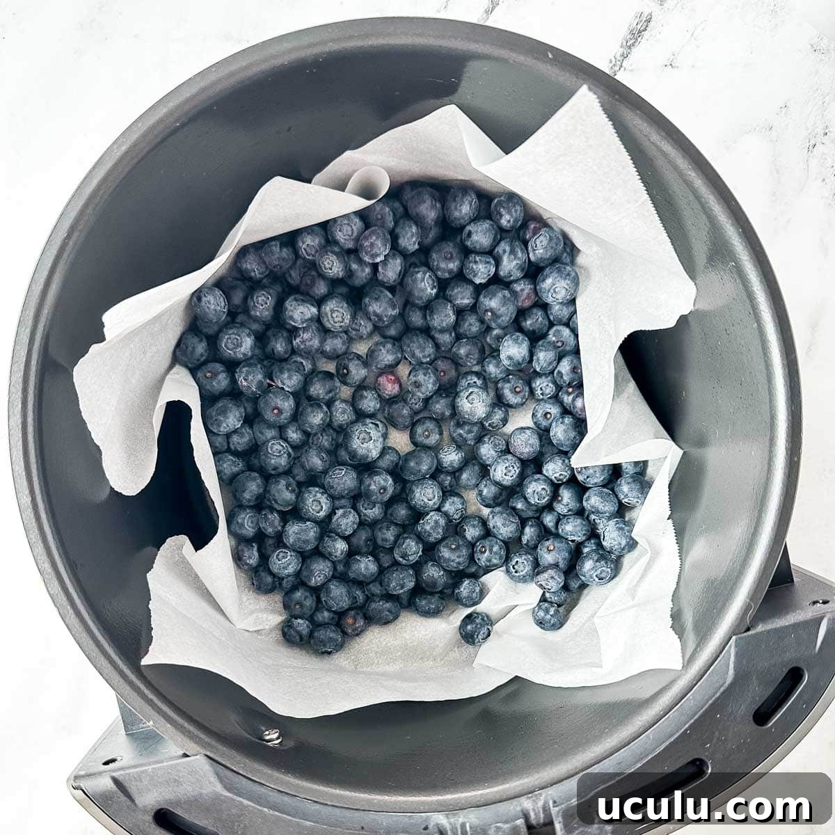 Fresh blueberries on parchment paper in the basket of an air fryer.