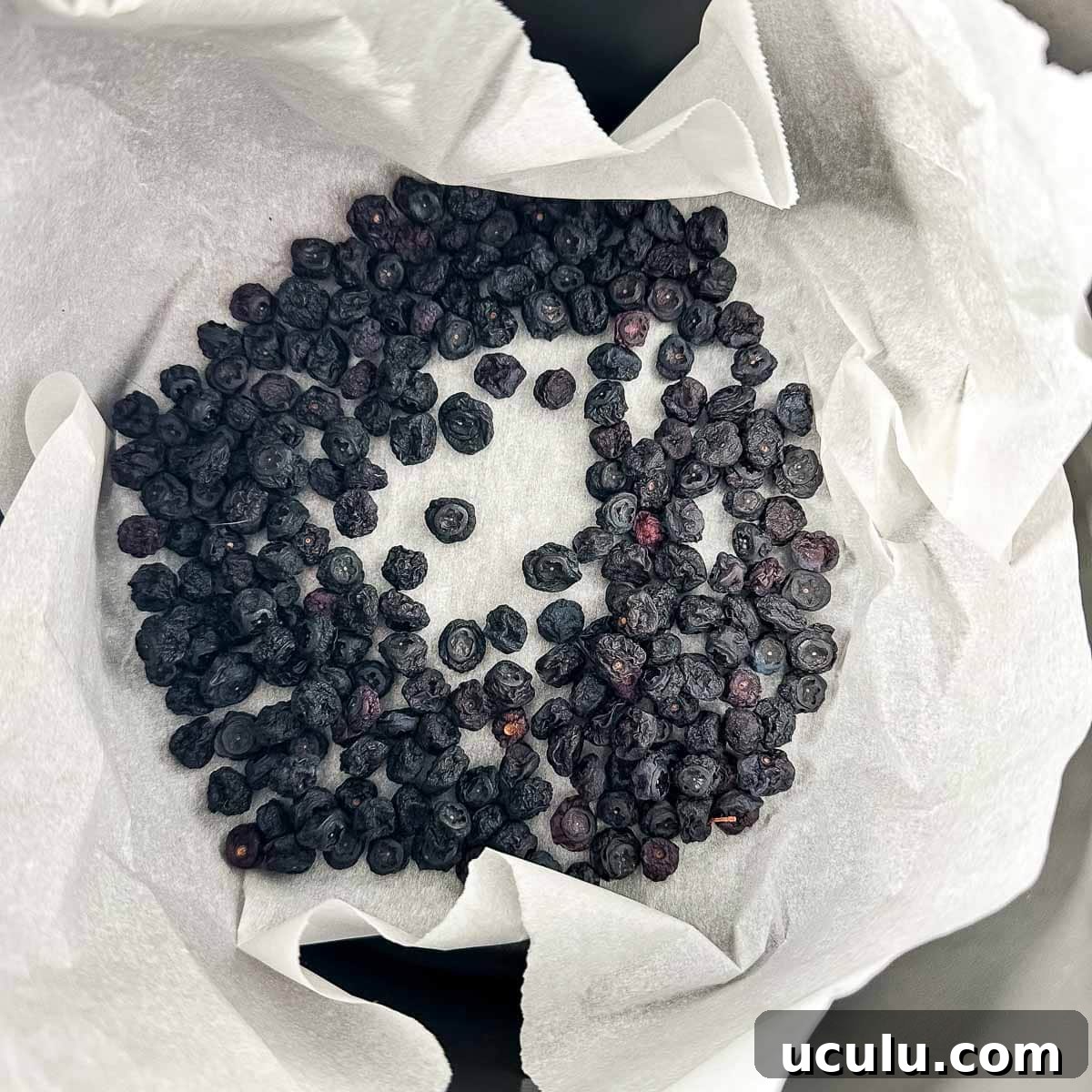 Dehydrated blueberries on parchment paper in the basket of an air fryer.