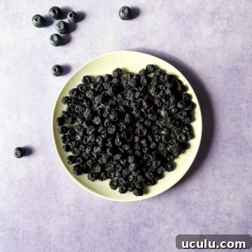 Air fryer dehydrated blueberries on a white plate on a purple backdrop surrounded by fresh blueberries.