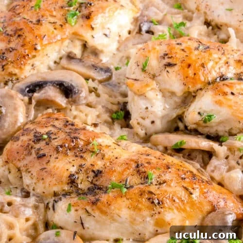 Mushroom Chicken and Rice in a skillet.