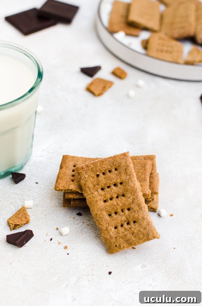 homemade graham crackers close up