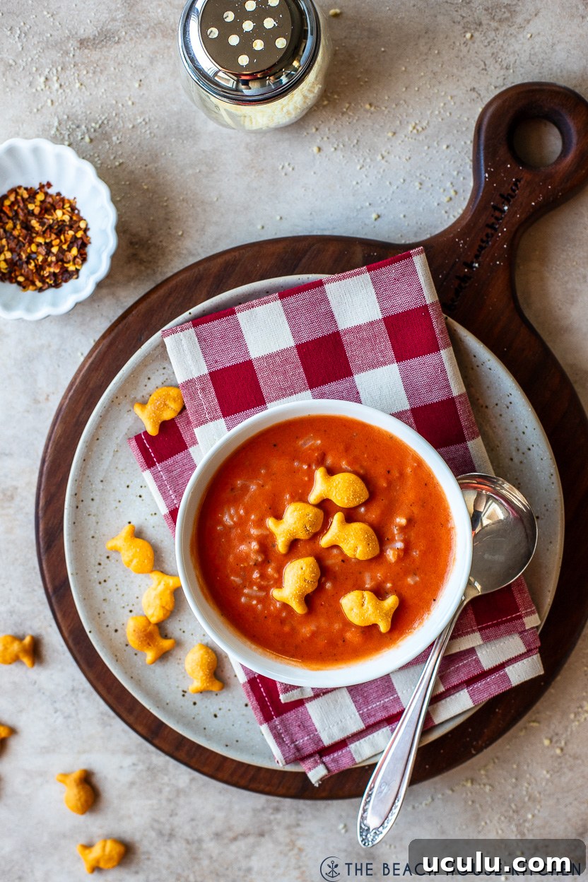 Overhead photo of a bowl of creamy tomato rice soup topped with cheddar goldfish cracker