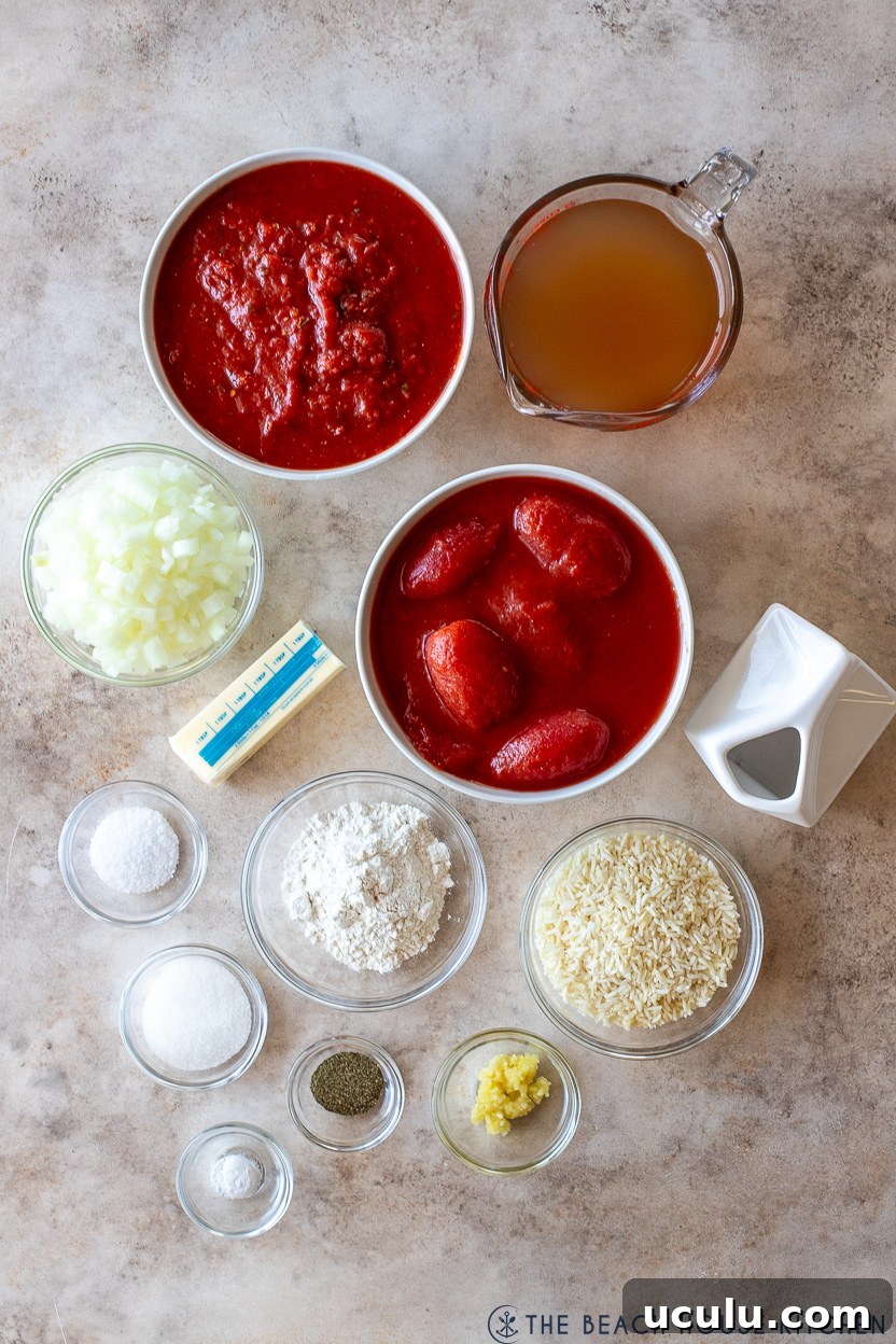 Overhead photo of ingredients for creamy tomato rice soup