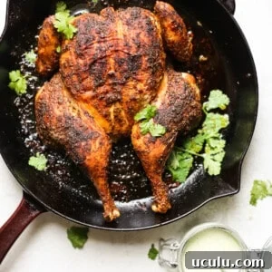 Peruvian-Inspired Whole Roasted Chicken