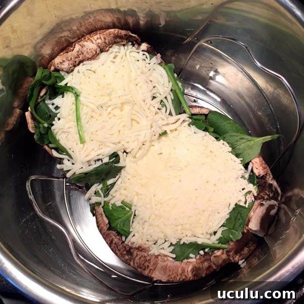 Low-Carb Instant Pot Recipes for Quick Weeknight Meals 19 uncooked portobello pizza in a pressure cooker