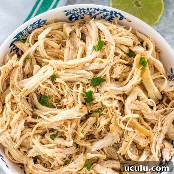 Low-Carb Instant Pot Recipes for Quick Weeknight Meals 6 Shredded Chicken in a white bowl with blue pattern