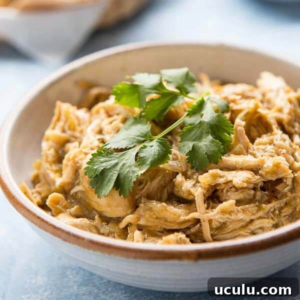 Low-Carb Instant Pot Recipes for Quick Weeknight Meals 9 chicken chili in a white bowl with brown rim topped with fresh green herb