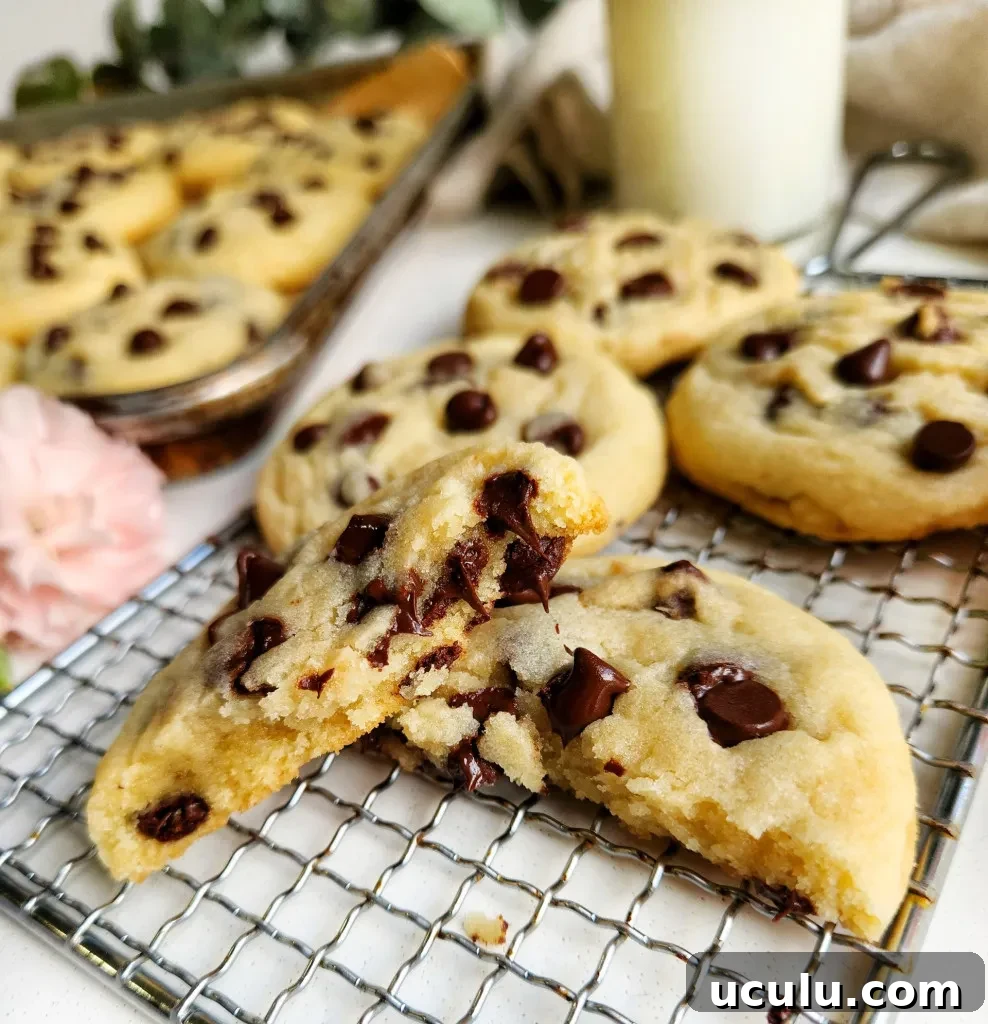 Chocolate Chip Cookies Made Without Brown Sugar — Chewy & Flavorful 7 Chocolate Chip Cookies Without Brown Sugar