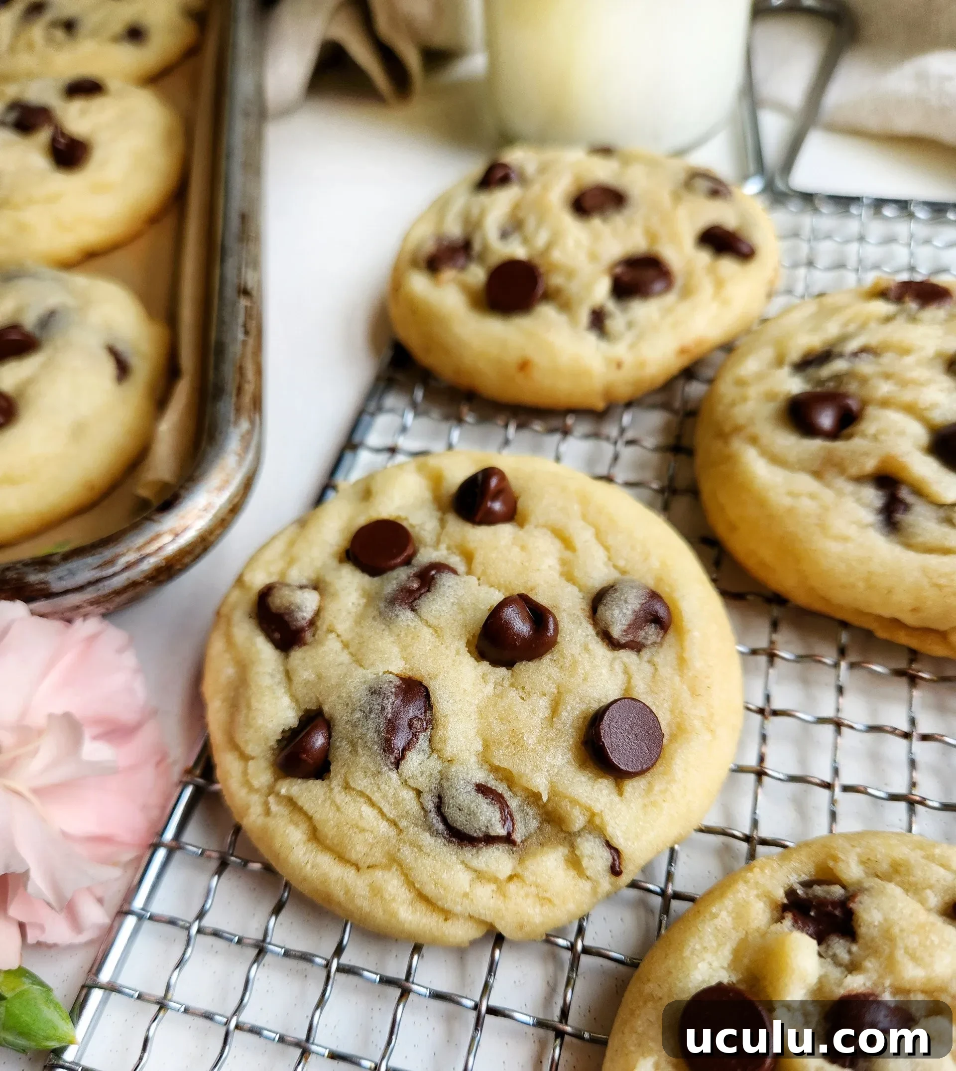 Chocolate Chip Cookies Made Without Brown Sugar — Chewy & Flavorful 8 Chocolate Chip Cookies Without Brown Sugar