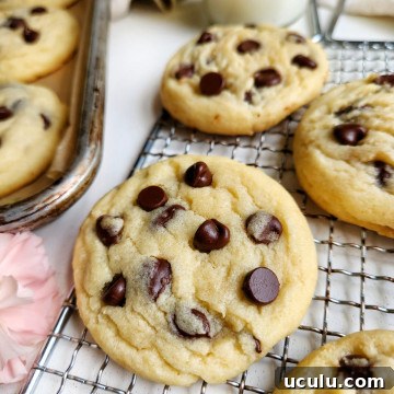 Chocolate Chip Cookies Made Without Brown Sugar — Chewy & Flavorful 9 Chocolate Chip Cookies Without Brown Sugar