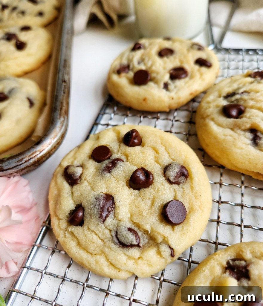 Chocolate Chip Cookies Made Without Brown Sugar — Chewy & Flavorful 2 Chocolate Chip Cookies Without Brown Sugar