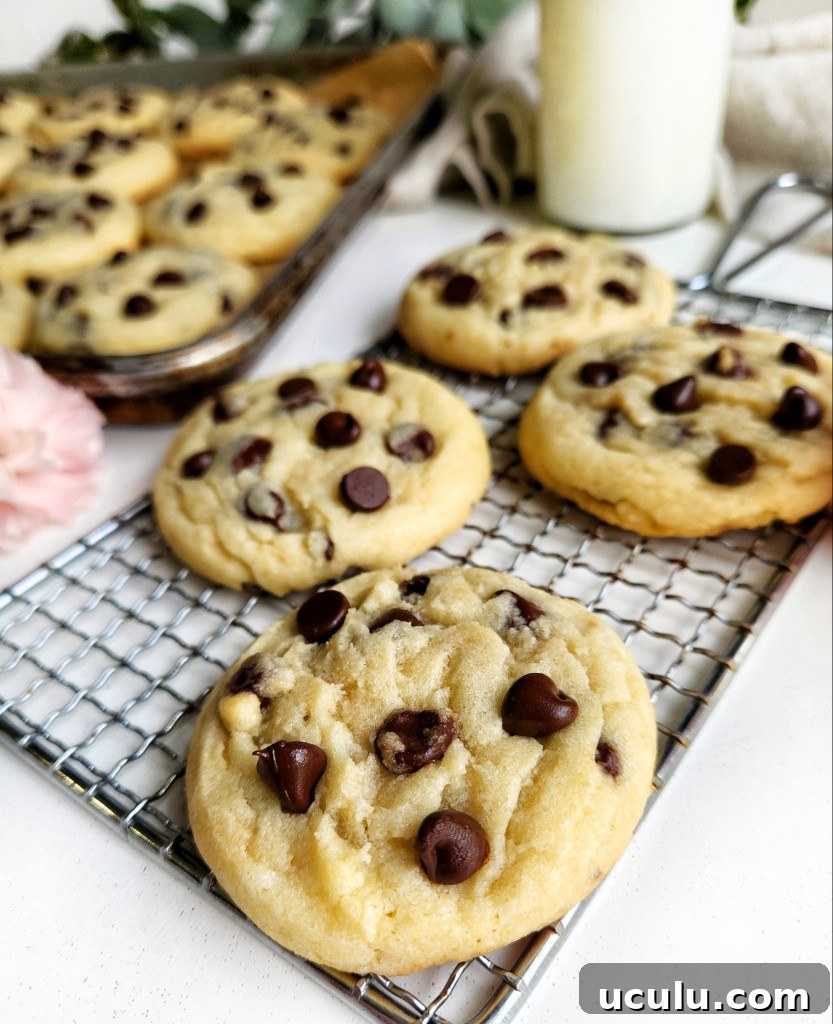 Chocolate Chip Cookies Made Without Brown Sugar — Chewy & Flavorful 3 Chocolate Chip Cookies Without Brown Sugar