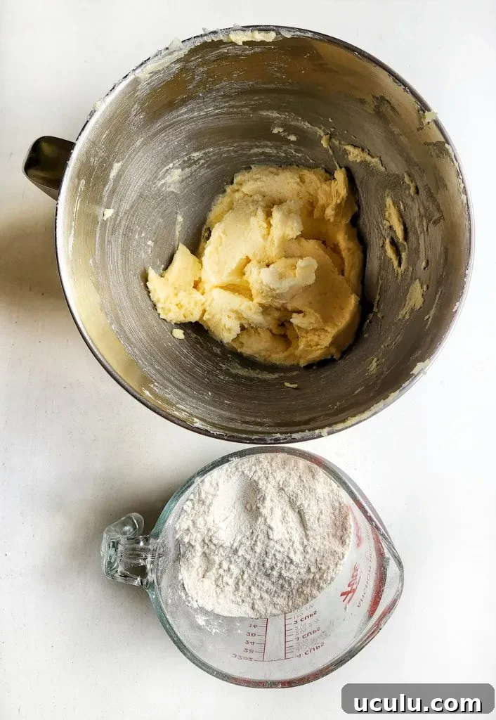 Chocolate Chip Cookies Made Without Brown Sugar — Chewy & Flavorful 4 wet and dry ingredients