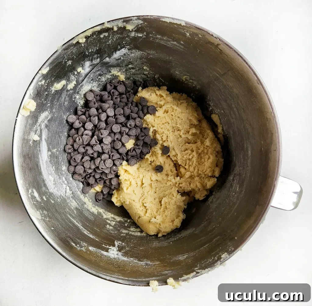 Chocolate Chip Cookies Made Without Brown Sugar — Chewy & Flavorful 5 fold in the chocolate chips