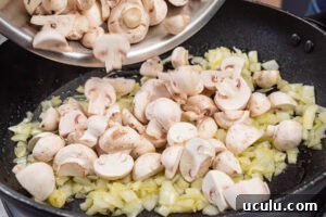 Indian Mushroom Bhaji Recipe | Flavorful Mushroom Curry Guide 7 Adding chopped mushrooms to the fried chopped onions in a frying pan