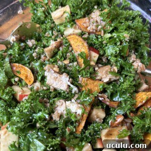A bowl of kale salad with apple slices, roasted sweet potato wedges, walnuts, feta cheese, and sunflower seeds. The ingredients are tossed together, showcasing a mix of greens and vibrant colors.