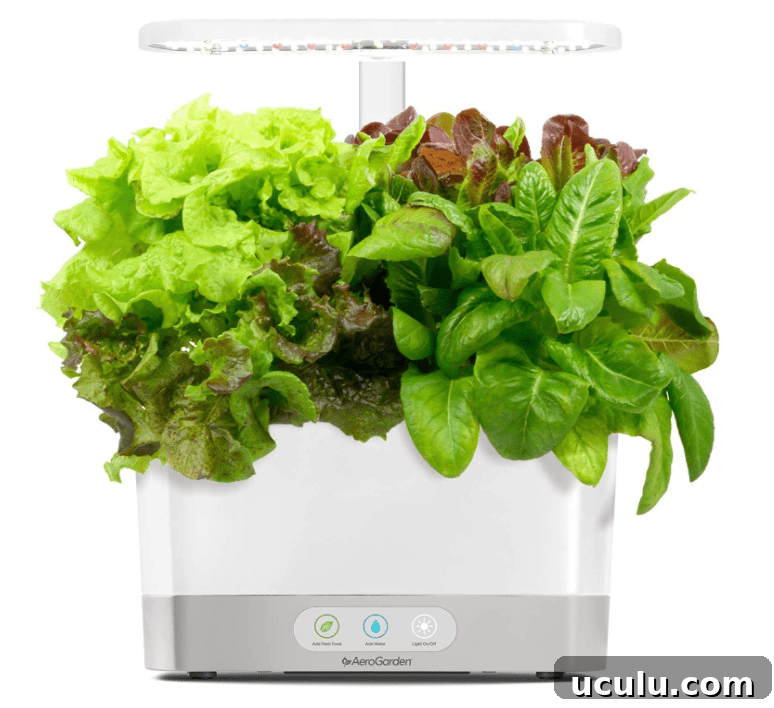Indoor hydroponic garden