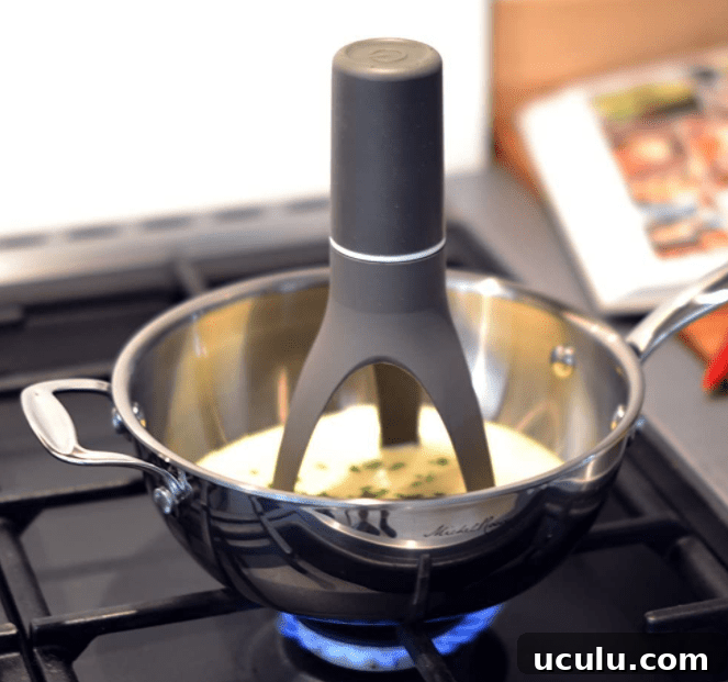 Automatic pan stirrer